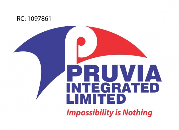 Digital Marketer Needed at Pruvia Integrated Limited