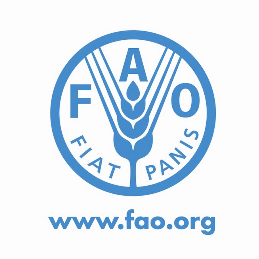 Office Assistant Needed at Food and Agriculture Organization (FAO) Nigeria