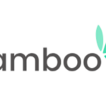 Investment & Research Analyst at Bamboo Nigeria