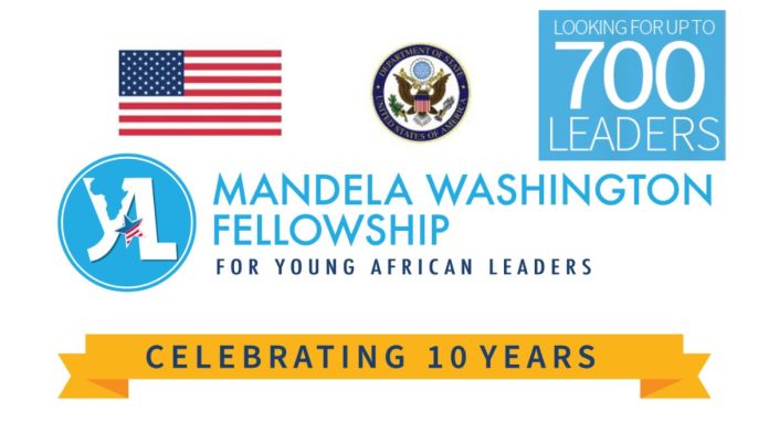 Mandela Washington Fellowship 2024 For Africans (YALI) | Fully Funded to USA