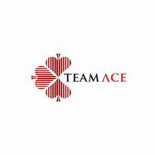 Data Analyst/Documentation Intern at TeamAce Limited