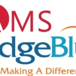 Digital Marketer at AMS Bridgeblue Nigeria