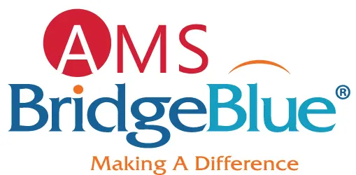 Digital Marketer at AMS Bridgeblue Nigeria