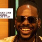 Adekunle Gold Foundation Scholarship For Africans | Fully Funded