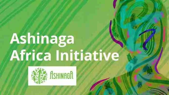 Ashinaga Africa Initiative Scholarship 2025 For African Students