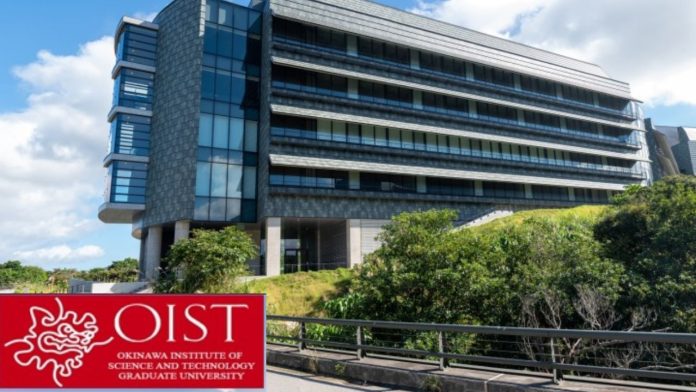 OIST Internship Program in Japan 2025