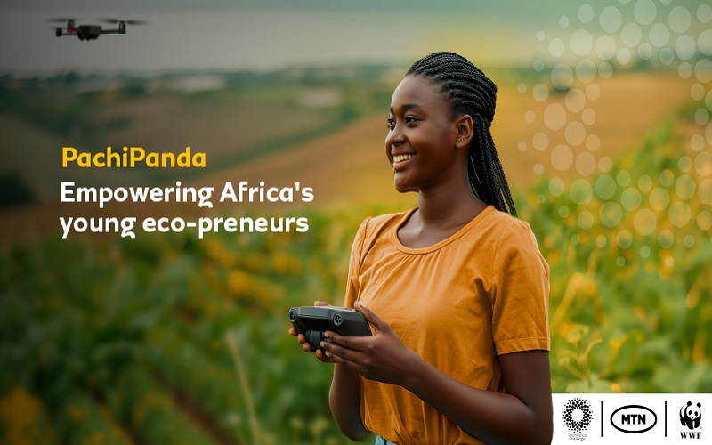 MTN-WWF Africa PachiPanda Challenge 2024 for youth-led SMEs