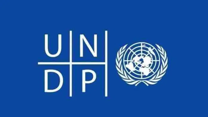 Application Open: UNDP Home-based Data Science Internship 2024