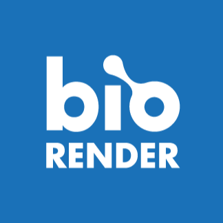 Remote Graphic Designer At BioRender