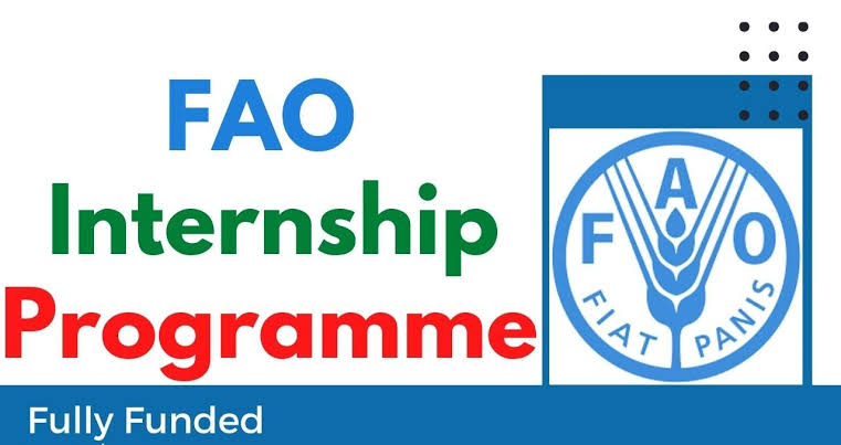 FAO Internship Program 2025