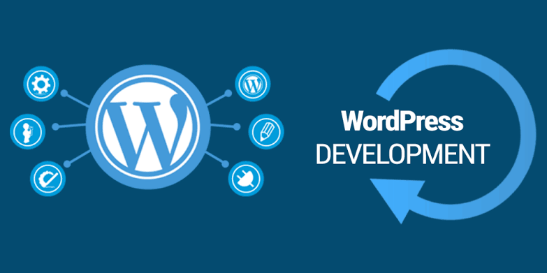 WordPress Developer at Havana Group