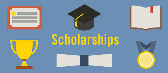 Sholape Animashawun Academic Scholarship 2024