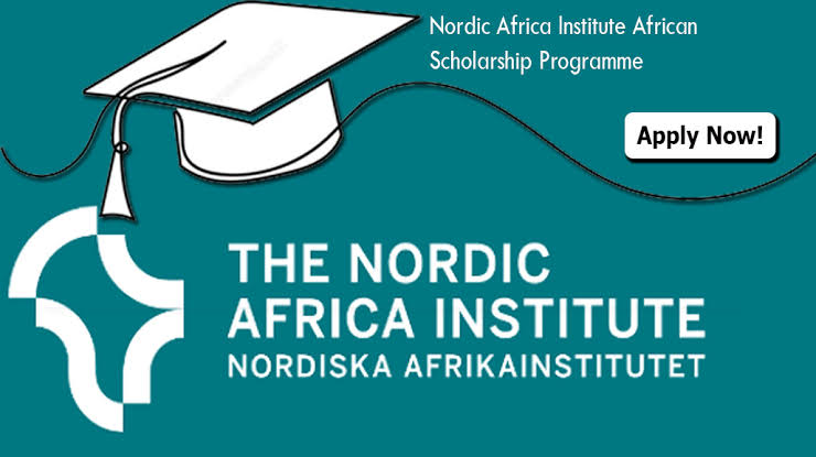 NAI African Scholarship Program 2024 for African Students