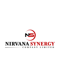 Social Media Community Manager at Nirvana Synergy Company