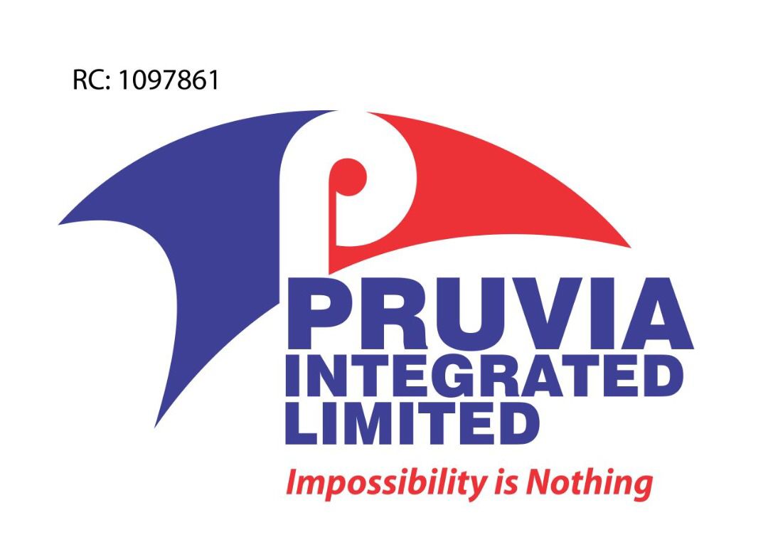 Social Media Handler at Pruvia Integrated Limited