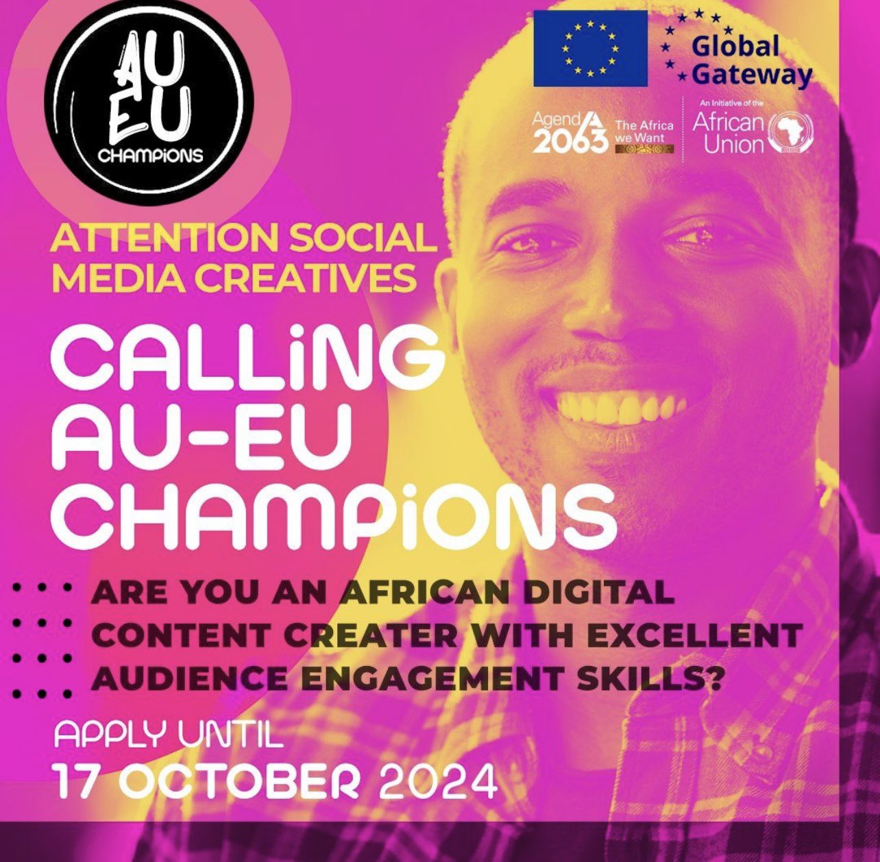 AU-EU Champions Programme for Digital Content Creators 2024 (3000 EUR stipend).