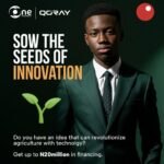 Sterling Bank Green Innovation Challenge 2024 for Startups and MSMEs | 20 Million Naira in Financing