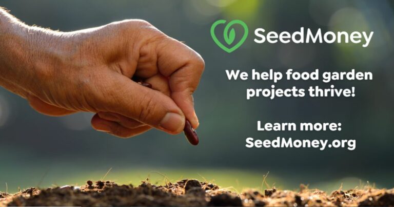 Call for Applications: SeedMoney Challenge 2024