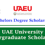 2025 United Arab Emirates University Scholarship