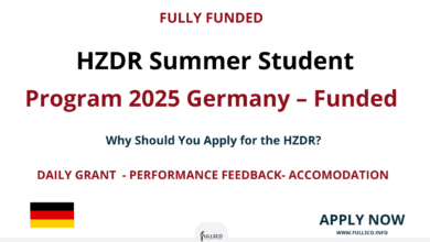 2025 HZDR Summer Student Program to study in Germany