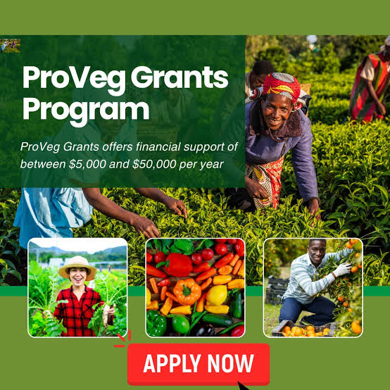 ProVeg Grants for Innovators Transforming the Global Food Industry 2025