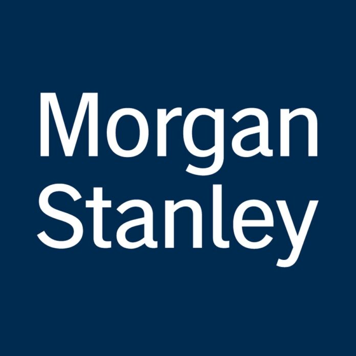 Morgan Stanley 2025 Sustainable Investing Fellowship Program