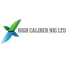 Data Analyst at High Caliber Nigeria Limited