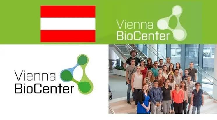 Vienna Bio Center Summer School 2025 in Austria 