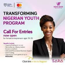 Transforming Nigerian Youths Program 2025