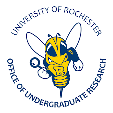 2025 University of Rochester Summer Research Program in USA (Fully Funded)