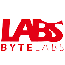 Remote PA & Social Media Manager at ByteLabs Technologies Limited (to support the CEO)