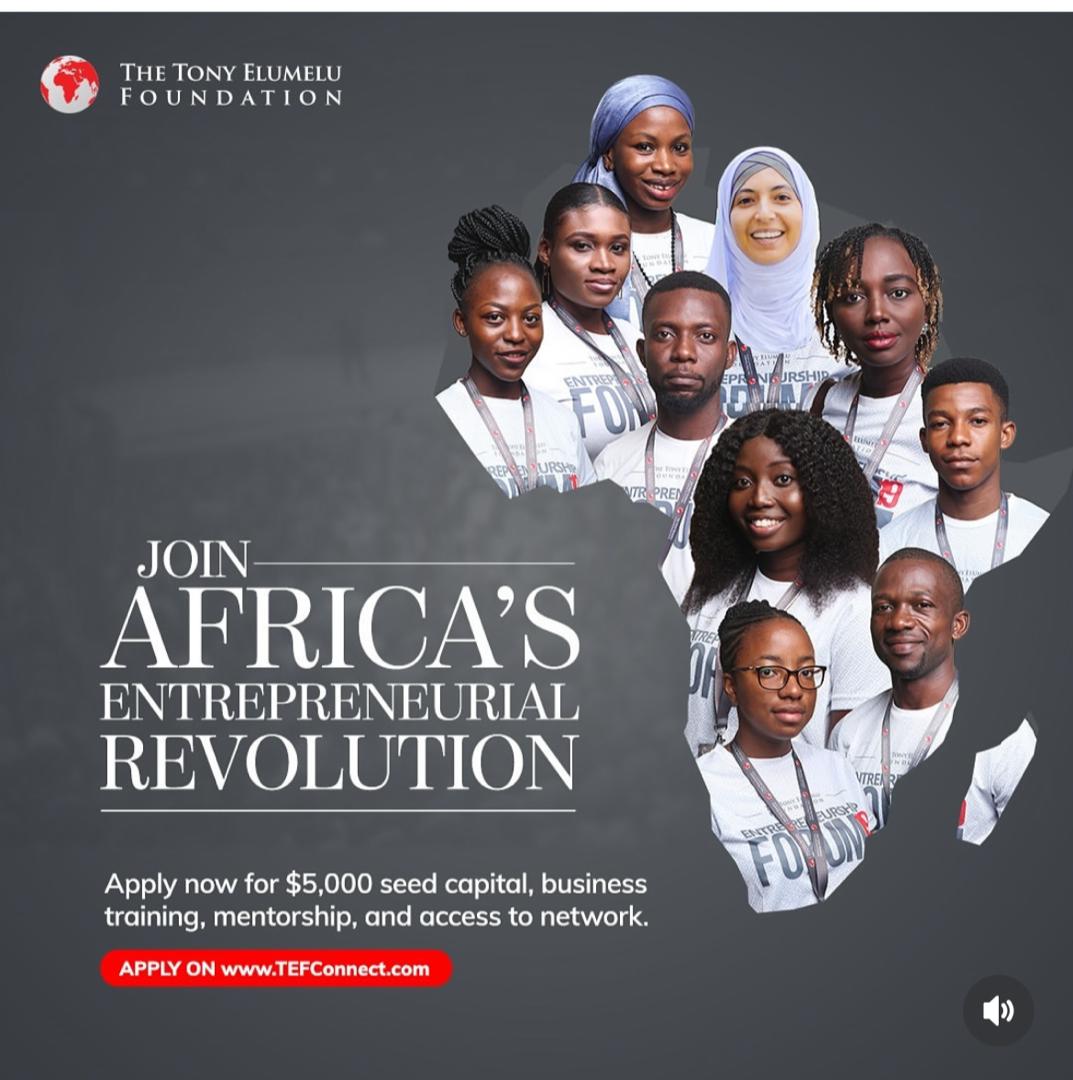 Tony Elumelu Foundation Entrepreneurship Program SEED CAPITAL 2025 For African Entrepreneurs | Up to $5000 Grant , Training and Mentorship