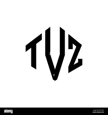 Remote Finance Content Writer at TVZ Corp