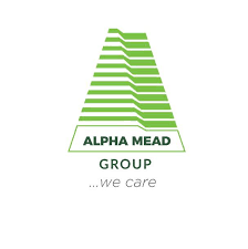 Junior Frontend Developer at Alpha Mead