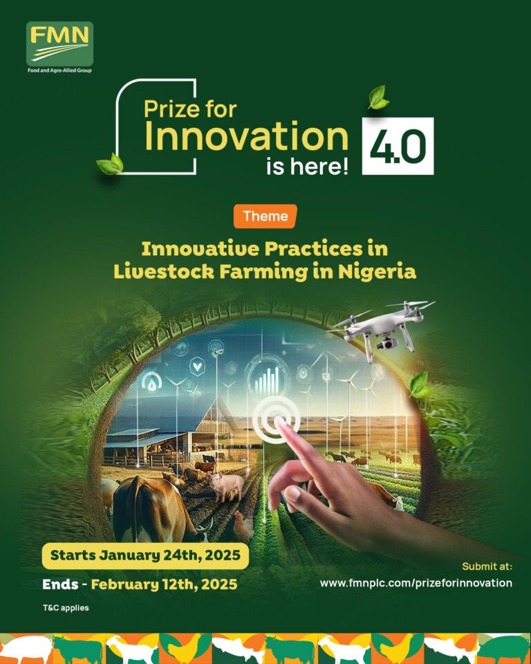 2025 Prize for Innovation by FMN