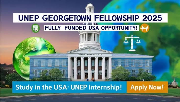 UNEP Fellowship 2025