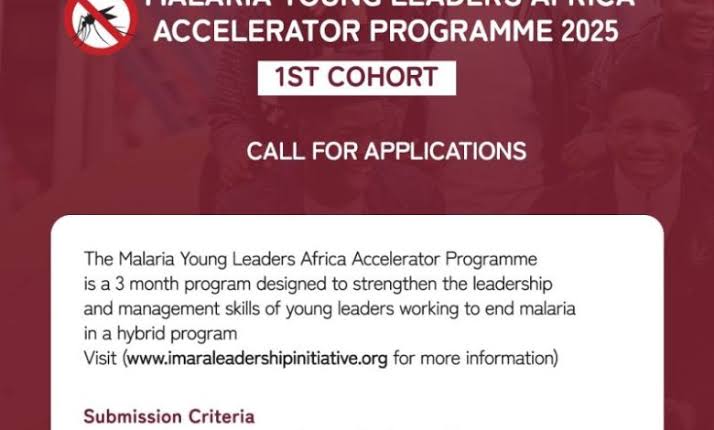 The 2025 Malaria Young Leaders Accelerator Program