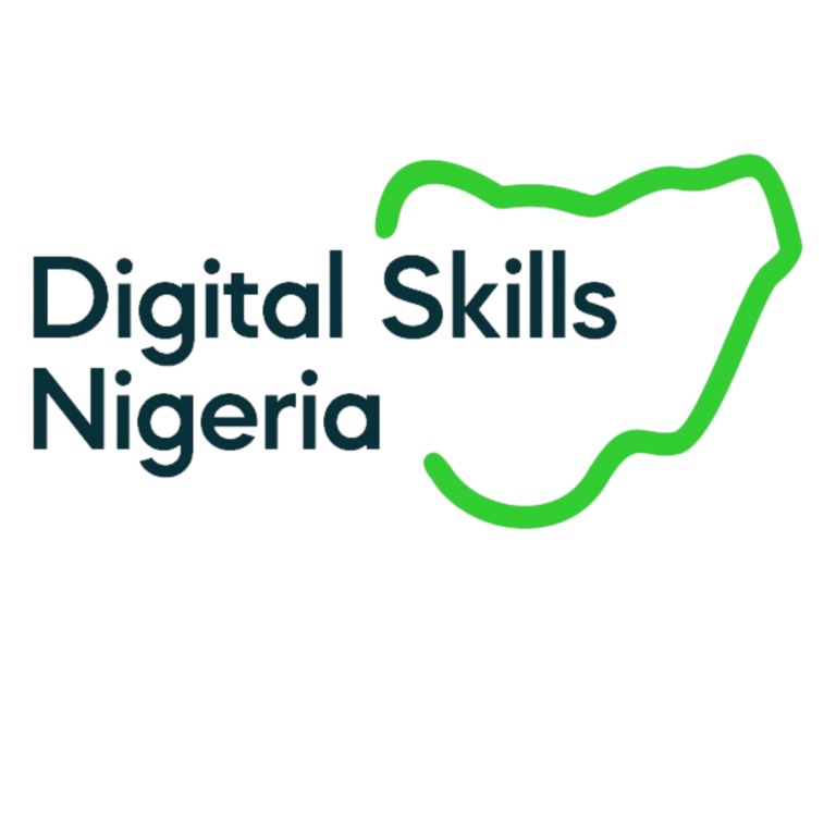 Call for Applications: Digital Skills Nigeria Program | Virtual/Physical Location across Nigeria