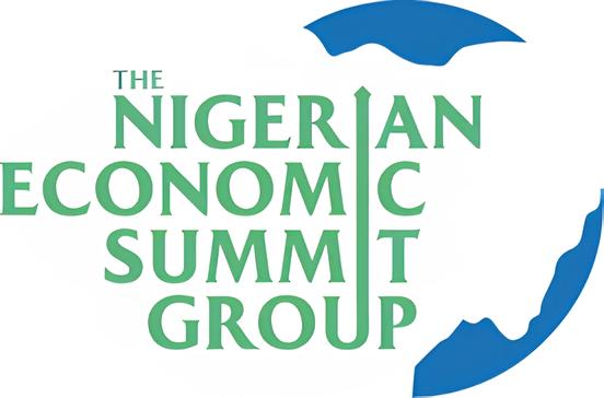 Finance Officer at Nigerian Economic Summit