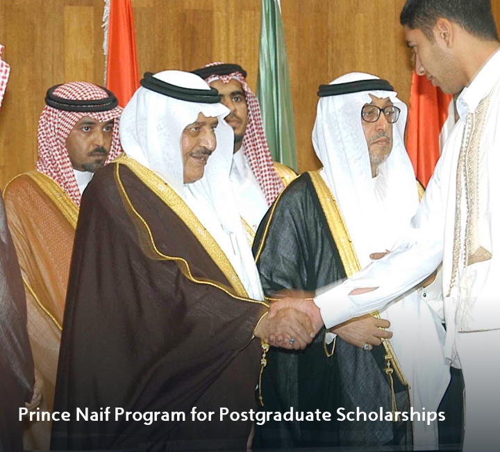 2025 Emirati Excellence Scholarship