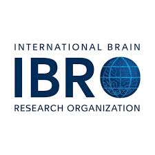 IBRO Exchange Fellowships 2025